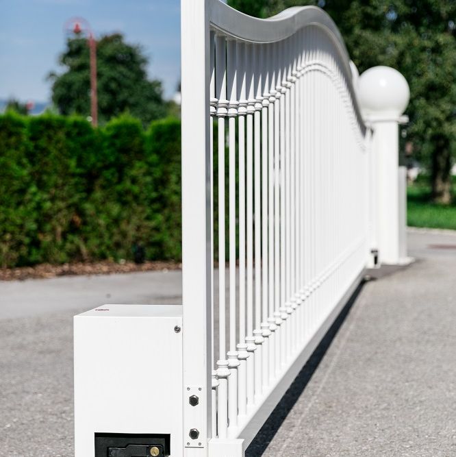 Einfahrtstor und Gehtor